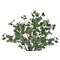 Monarch Specialties Artificial Plant, 46" Tall, Eucalyptus Tree, Indoor, Faux, Fake, Floor, Greenery, Potted I 9518 - alternate 2